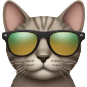 Cat with sunglasses sticker