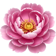 Peony  sticker