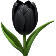 black tulips sticker