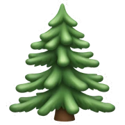  actual white fir christmas tree isolated.  sticker