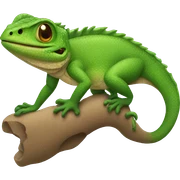 lizard sticker
