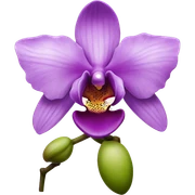 orchid sticker