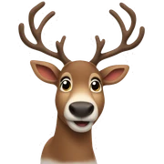 Reindeer  sticker