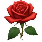 Red rose sticker