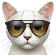 Cat with sunglasses sticker