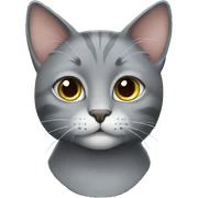 Grey cat sticker
