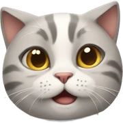 Cats sticker
