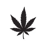 cannabis leaf, hand drawn doodle sticker