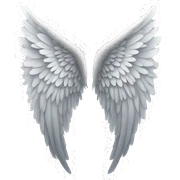 Angel wings sticker
