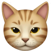 cat with sleep  sticker