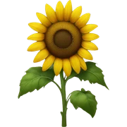 Sunflower  sticker