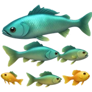 Fish  sticker