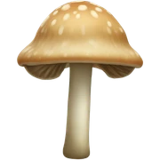 Marasmius oreades  sticker