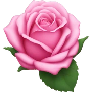 pink rose sticker