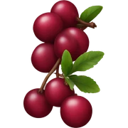 Cranberry  sticker