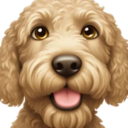 labradoodle sticker