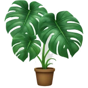 monstera plant sticker