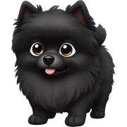 Black Pomeranian pup sticker