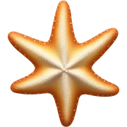 starfish sticker