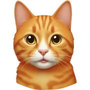 Orange cat sticker
