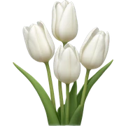 White tulips  sticker