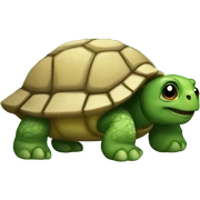 Turtle sticker
