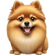 Pomeranian sticker