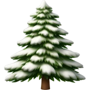  actual white fir christmas tree isolated.  sticker
