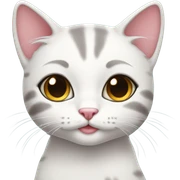 cute girly cat sticker