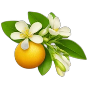 citrus flower emoji sticker