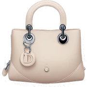 Dior bag sticker