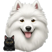 Samoyed with black cat sticker