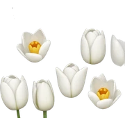 white tulip bouquet  sticker