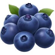 Blueberries  sticker