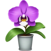 orchid plant sticker