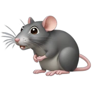 rat sticker