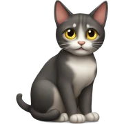 Gato sticker