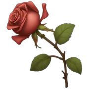 Withered rose flower sticker