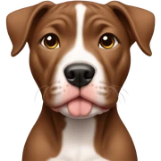 brown pitbull puppy  sticker