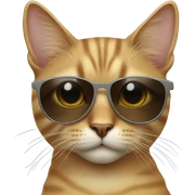 Cat with sunglasses sticker