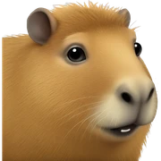 Capybara  sticker