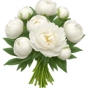 White peonies bouquet  sticker