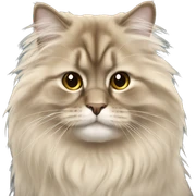 British long hair  sticker