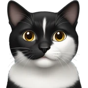 a black and white cat sticker
