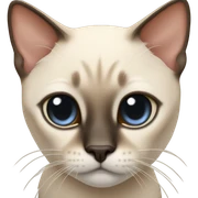 Siamese cat sticker