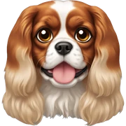 Cavalier King Charles Spaniel  sticker