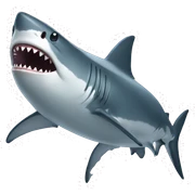 Shark sticker