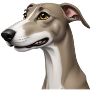 greyhound sticker