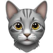 cat grey sticker