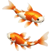 Koi sticker